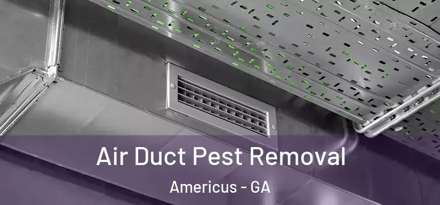 Air Duct Pest Removal Americus - GA