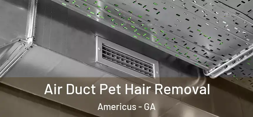  Air Duct Pet Hair Removal Americus - GA