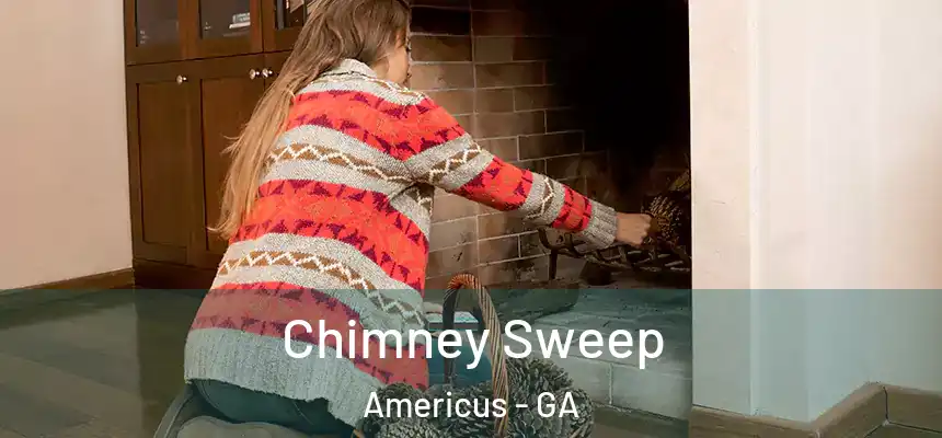  Chimney Sweep Americus - GA