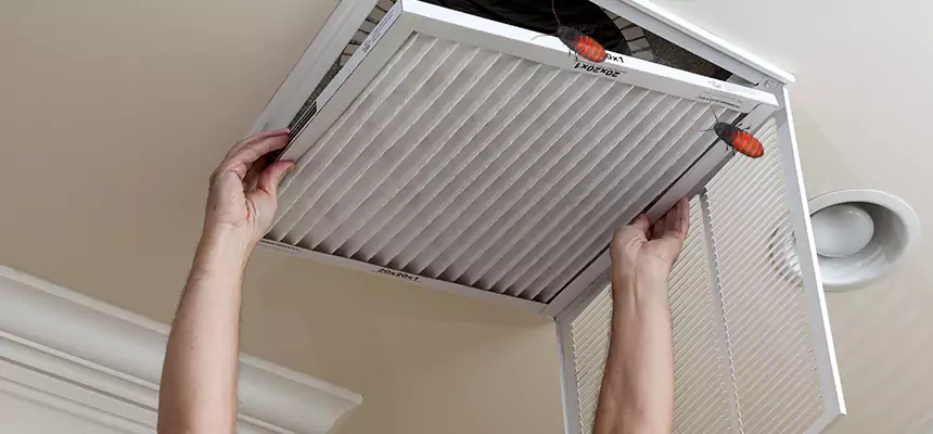 Preventive Cockroach-Proofing for Ducts in Americus
