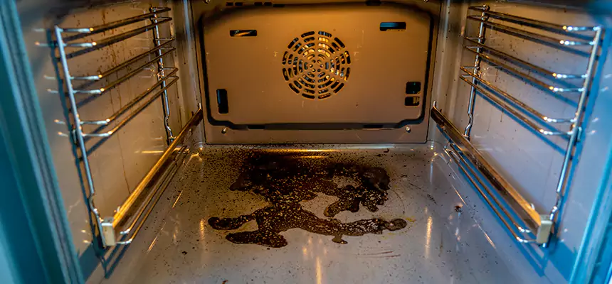 Our Dryer Vent Mold Cleaning Services in Americus, GA