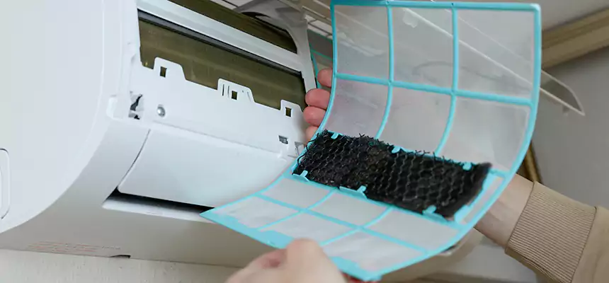 Gentle Ductwork Odor-Control Pet Dander Duct Cleaning in Americus, GA