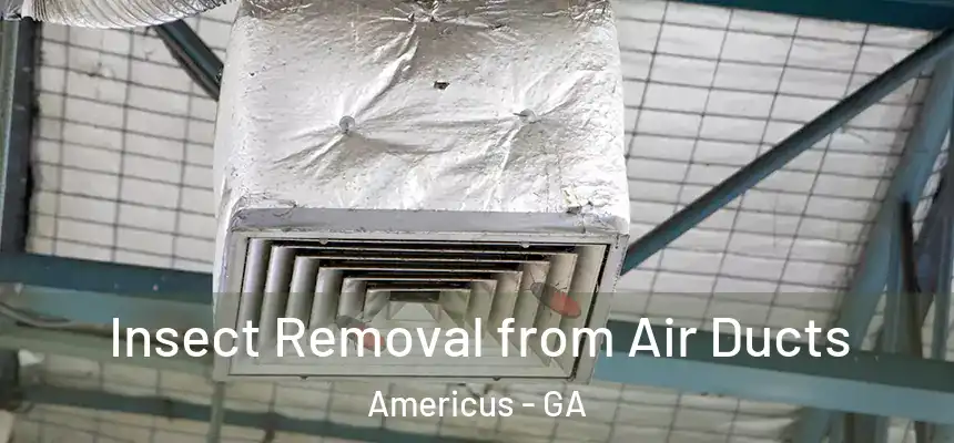  Insect Removal from Air Ducts Americus - GA