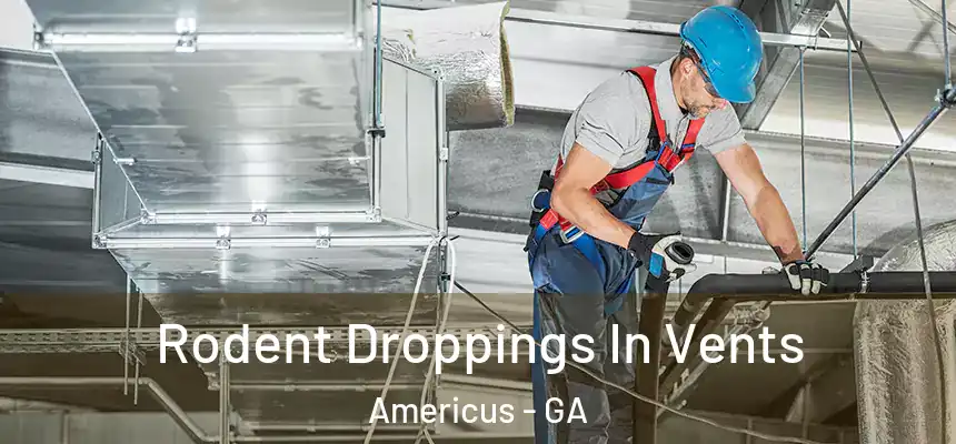 Rodent Droppings In Vents Americus - GA