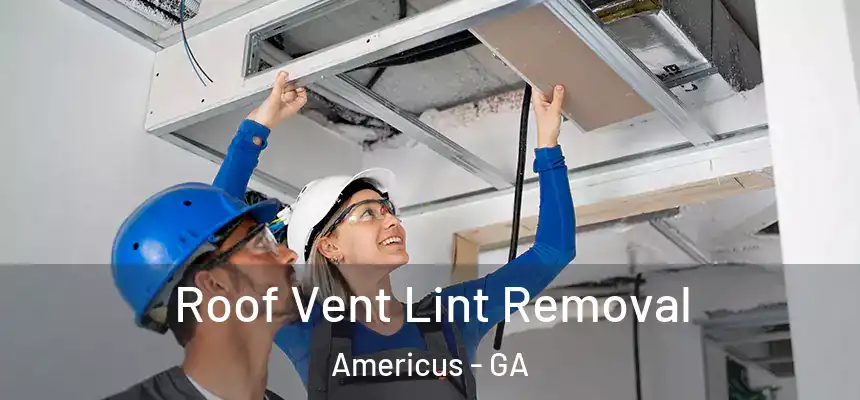  Roof Vent Lint Removal Americus - GA