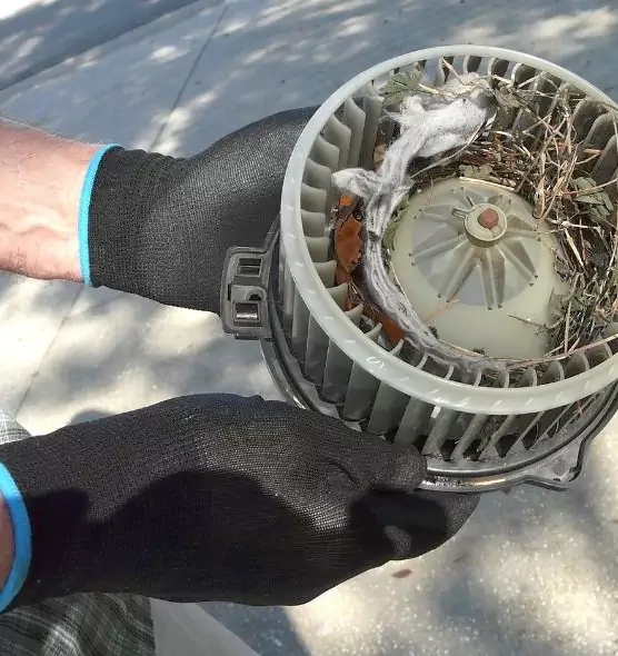 About Air Duct Mice Removal in Americus, GA