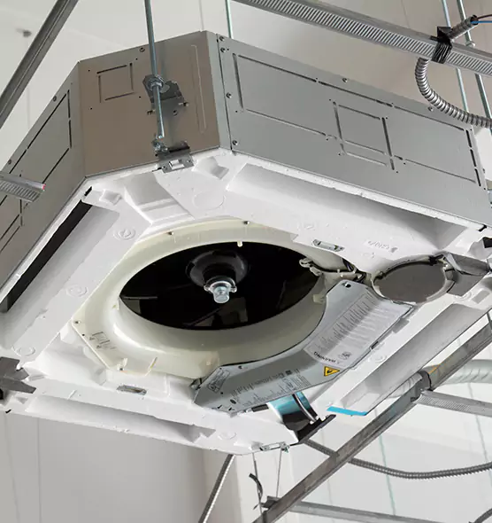 Professional Roof Vent Lint Removal Americus, GA