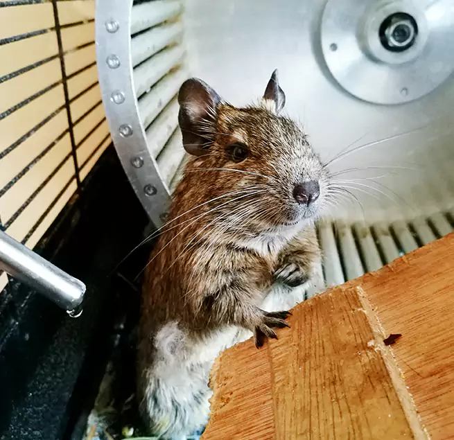 Why Homeowners & Businesses Trust Us Americus, GA?